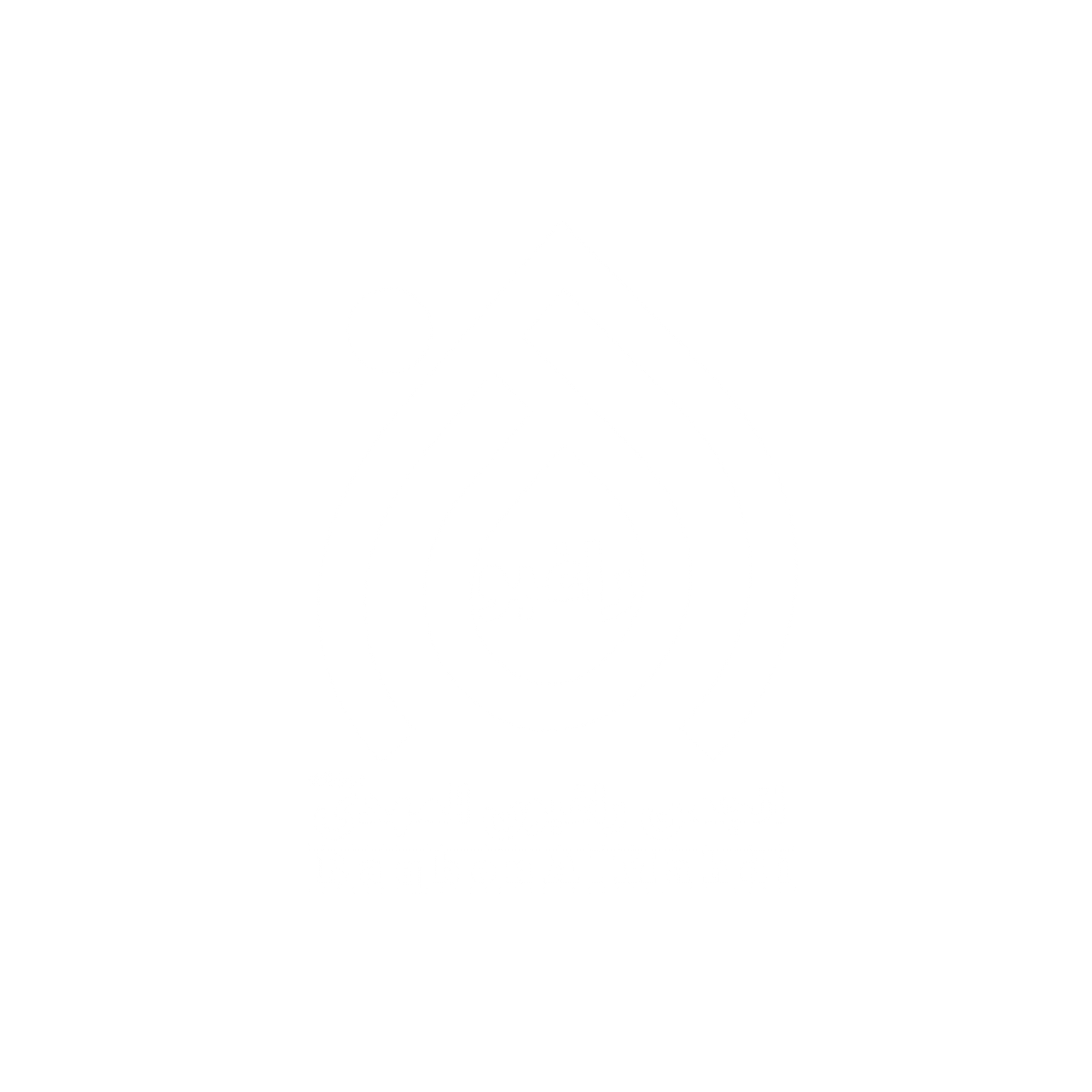 نشان انجمن راغبون المهدی